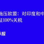 特朗普要求欧盟对中印俄油进口征100%关税